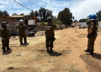 Vuelven con el desalojo de la megatoma en San Antonio: intervenciones en cuatro sectores.