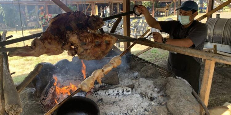 Destaca la «Ruta del Campo Vivo» – LAVOZDEPUCON