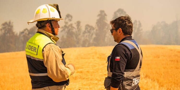 Plan integral destaca la conservación de los parques nacionales – LAVOZDEPUCON