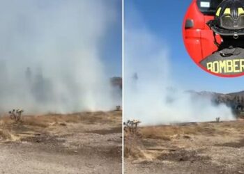 Emergencia por incendio en pastizales activa a Bomberos en Chicureo.