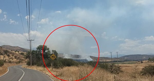 [AHORA] Fuego forestal impacta el sector de Lo Fontecilla en Lampa