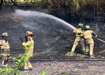 [AHORA] Incendio forestal pone en alerta a Bomberos en el norte de Colina.