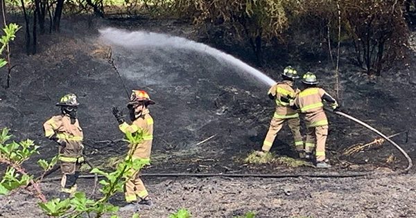 [AHORA] Incendio forestal pone en alerta a Bomberos en el norte de Colina.