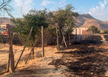 Incendio forestal en Colina: Bomberos controlan la emergencia en el sector de Reina Sur.