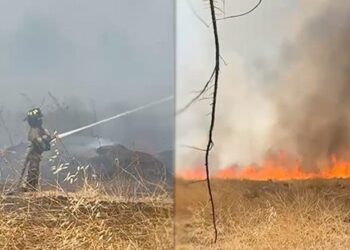 [VIDEO] Alerta por incendio de maleza en Colina