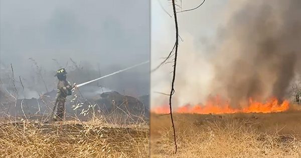 [VIDEO] Alerta por incendio de maleza en Colina