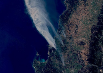 Incendios forestales en Chile se disparan: área quemada sube un 207%