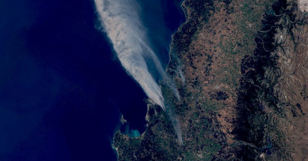 Incendios forestales en Chile se disparan: área quemada sube un 207%