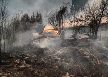 Incendios en Ñuble y Biobío: se reportan 21 muertes.