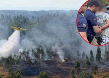Cachan a sospechoso de ser el autor de uno de los grandes incendios en la Región del Biobío.