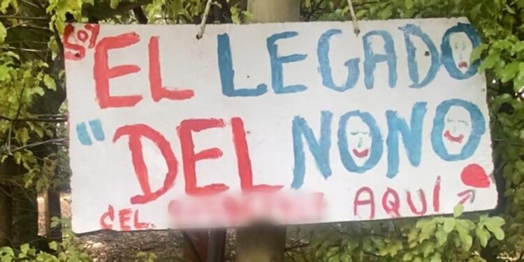 La fundadora del “Legado del Nono” se sometará a un juicio simplificado por “maltrato corporal relevante” a tres personas mayores en Pucón.