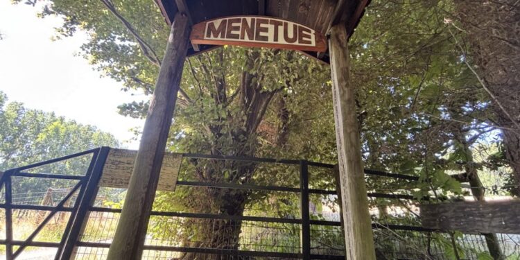 Fiscalía de Pucón indaga una posible estafa relacionada con la venta de terrenos no entregados en Menetúe – LAVOZDEPUCON