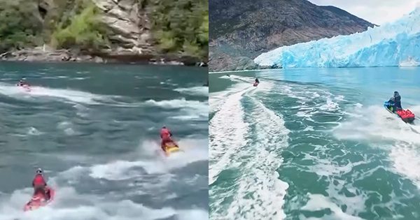 Denuncian que hay tours ilegales en motos de agua en zonas protegidas del sur de Chile.