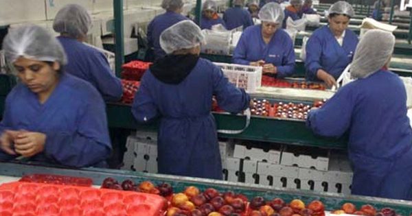 Ya empezó el pago del Bono Mujer Trabajadora: ¿Cómo hacerlo para postular?