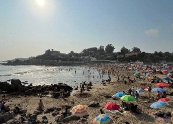 Entre el relajo y la plata: solo un 29% de los chilenos se irá de vacas este verano 2026.