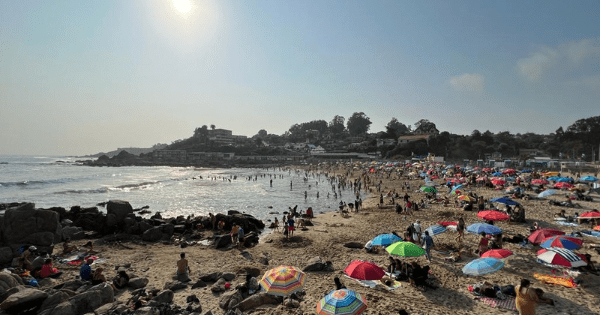 Entre el relajo y la plata: solo un 29% de los chilenos se irá de vacas este verano 2026.