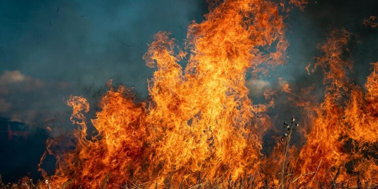 SII pone en marcha beneficios tributarios especiales para personas y empresas que fueron afectados por incendios.