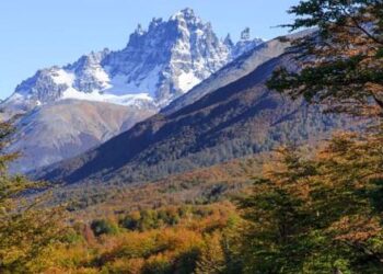 Aumentan las expulsiones de turistas en Torres del Paine por no cumplir con las normas de seguridad.