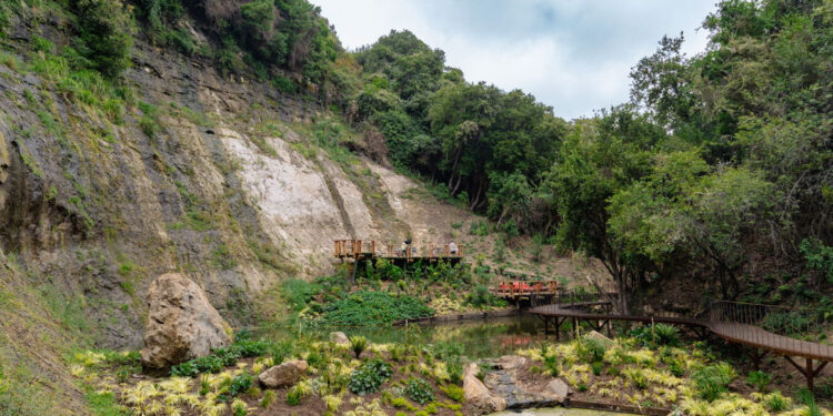 “El Milagro”: un paraíso natural para disfrutar este verano en el Parque Tricao.