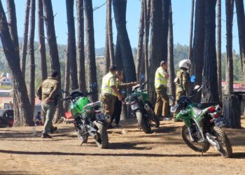 Violenta pelea en antiguo camping de Pelluhue resulta en la detención de dos personas.