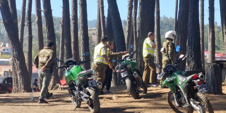 Violenta pelea en antiguo camping de Pelluhue resulta en la detención de dos personas.