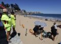 Seremi de Salud de Valparaíso levanta restricción para bañarse y realizar actividades recreativas en la playa Amarilla de Concón.