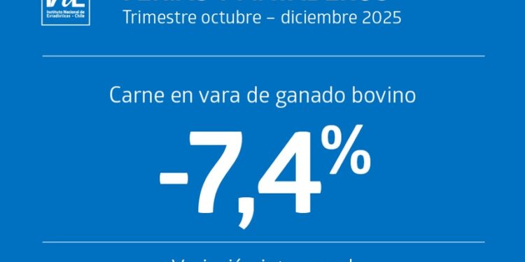 La producción de carne de vacuno baja 7,4% en el cuarto trimestre de 2025, mientras que los pollos aumentan un 7,6% en Chile.