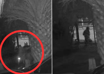 [VIDEO] Feroz asalto a familia en el sector San José de Colina.