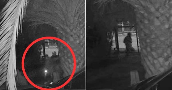 [VIDEO] Feroz asalto a familia en el sector San José de Colina.