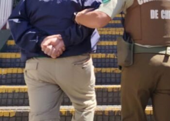 Detienen a un sujeto por cultivo de marihuana en Quilaco.