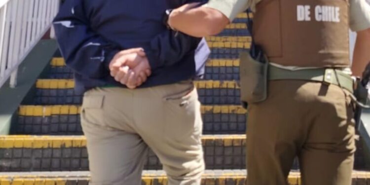 Detienen a un sujeto por cultivo de marihuana en Quilaco.