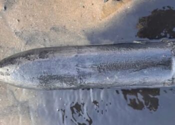 Hombre ingresa a un hospital en Francia con un proyectil de guerra en el recto.