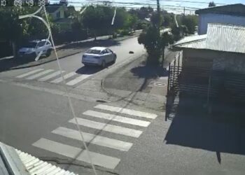 Vehículo municipal de Cabrero atropelló a un perro conocido: El municipio confirma la apertura de un sumario.