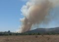 Bomberos y equipo de Conaf luchan contra incendio forestal en el sector La Estancilla de Puchuncaví.