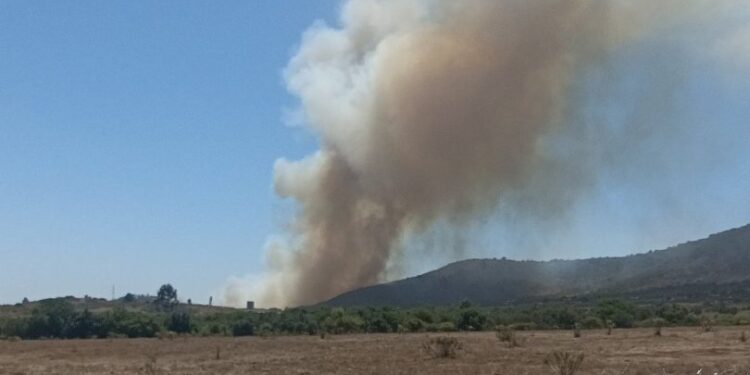 Bomberos y equipo de Conaf luchan contra incendio forestal en el sector La Estancilla de Puchuncaví.