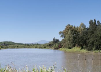 Día Mundial de los Humedales: especialista propone seis consejos para preservar estos ecosistemas esenciales.