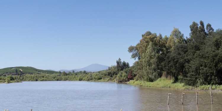 Día Mundial de los Humedales: especialista propone seis consejos para preservar estos ecosistemas esenciales.