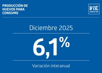 Producción de huevos en Chile sube un 6,1% en diciembre de 2025 y aumenta la cantidad de gallinas en postura.