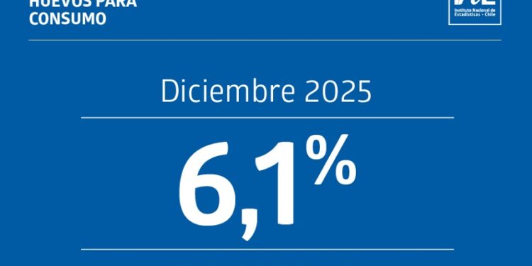 Producción de huevos en Chile sube un 6,1% en diciembre de 2025 y aumenta la cantidad de gallinas en postura.