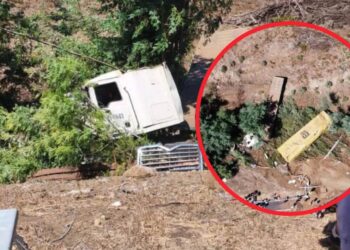 Accidente de alta energía deja al camionero en estado grave en Malleco tras caer por un barranco.