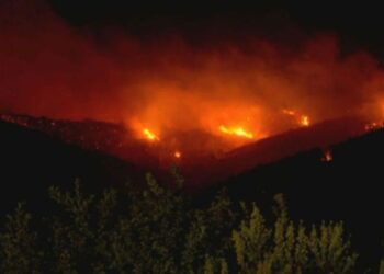 La Municipalidad de Concón habilitó la escuela Puente Colmo como albergue para vecinos en caso de ser afectados por un incendio.