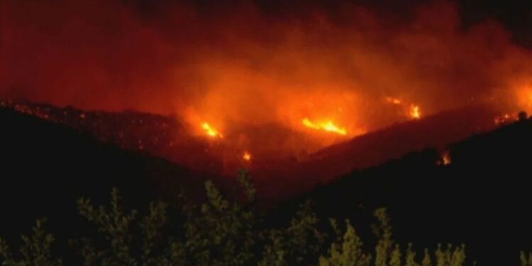 La Municipalidad de Concón habilitó la escuela Puente Colmo como albergue para vecinos en caso de ser afectados por un incendio.