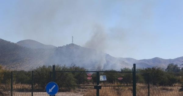 Declaran Alerta Roja en Pudahuel por incendio forestal cerca de poblaciones.