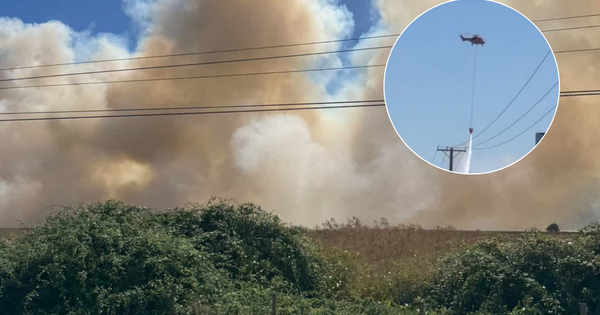 Incendio en San Fernando pone en riesgo la Ruta 5 Sur y ya ha afectado más de 100 hectáreas.