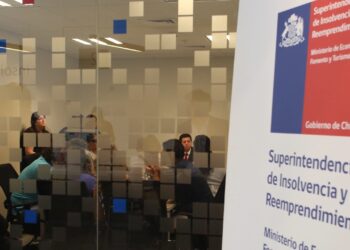 Superir se enfocará en renegociar deudas para los afectados por los incendios en Ñuble y Biobío.