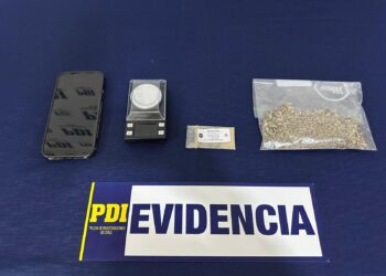 Operativo policial detiene envío de drogas alucinógenas provenientes de Holanda hacia Vichuquén.