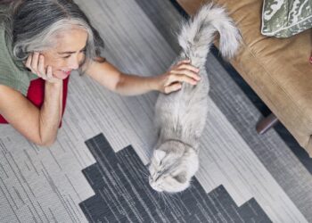 Vacaciones y adopción consciente