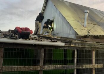 Detienen a once personas en operativo contra bandas criminales en Curicó; seis permanecen en prisión preventiva.