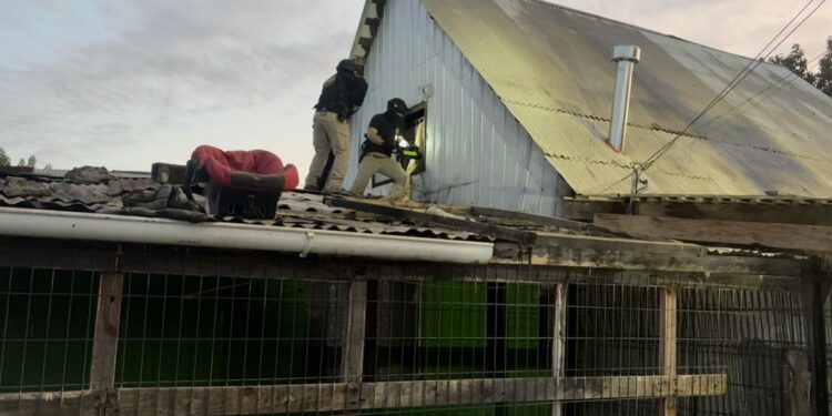 Detienen a once personas en operativo contra bandas criminales en Curicó; seis permanecen en prisión preventiva.