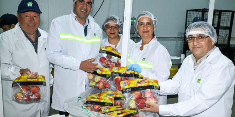 Agenda de Competitividad Agroexportadora Sustentable promueve un crecimiento histórico del sector y lleva las exportaciones a más de US$ 20.500 millones.